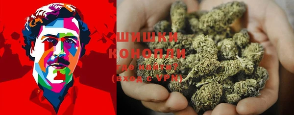 ПСИЛОЦИБИНОВЫЕ ГРИБЫ Абаза
